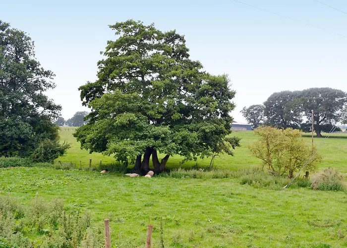 Top Hereford Country Hotels for Serenity Seekers