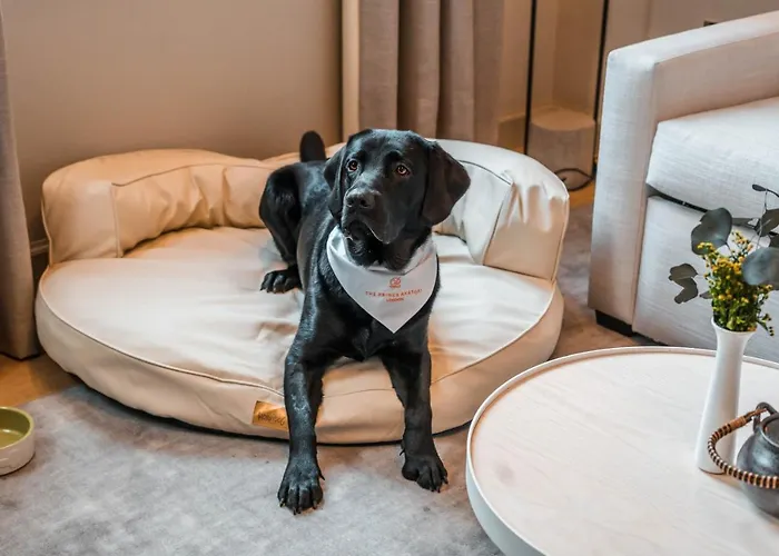 Hotels near Regents Park London - Your Ultimate Accommodation Guide