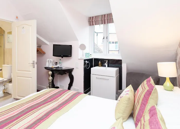 Top Dog-Friendly Hotels in Torquay, United Kingdom