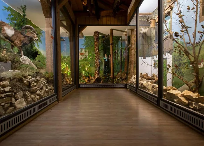 Top Hotels in der Altstadt von Eichstätt