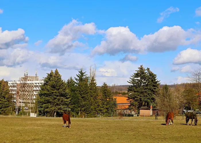 Erstklassige Übernachtungen im Carea Hotel Allrode