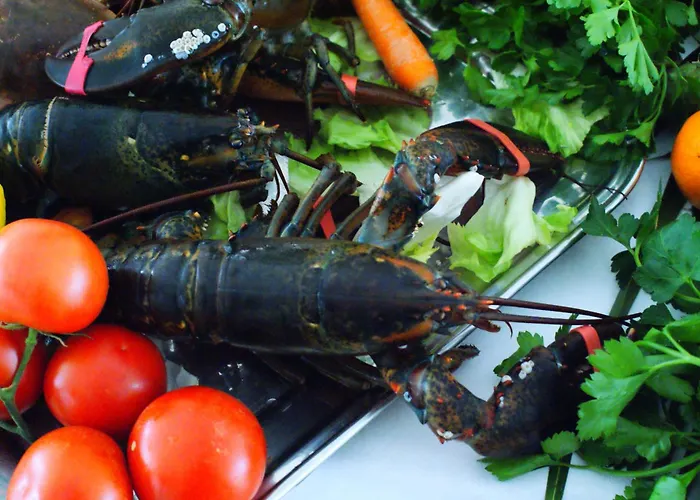 Migliori Hotel 4 Stelle a Marina di Massa