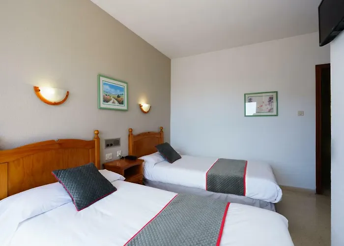 Mejores hoteles pet friendly en Motril